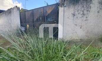 Imagem 4: Terreno de 291m² na Vila Mafra: Oportunidade de Venda ou Locação em São Paulo-SP