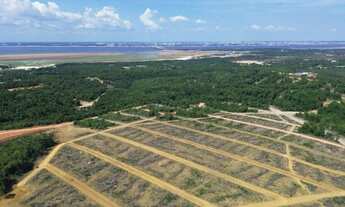 Imagem 2: Pássaros da Amazônia Lotes 300m2