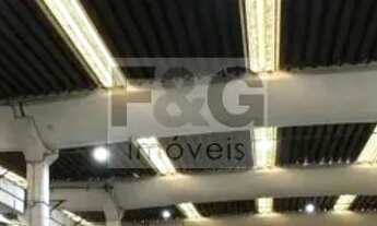 Imagem 4: GALPAO INDUSTRIAL em MAIRIPORÃ - SP, TERRA PRETA