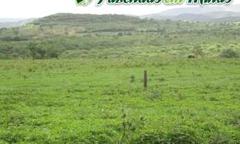 Imagem 7: Fazenda para pecuária de corte e leite, perto de Montes Claros