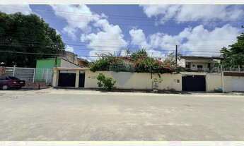 Imagem 3: O Refúgio do Pé de Açaí