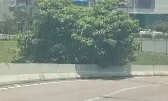 Imagem 5: LOTE COMERCIAL - PLANO, PARTE ALTA DO LOTEAMENTO - RES BELA ALIANÇA - LOTE Y-24