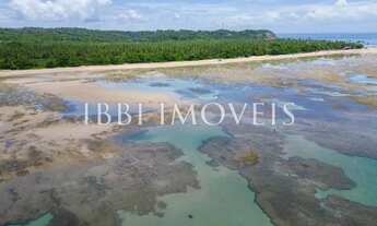 Imagem 3: Excelente Área Na 4ª Praia