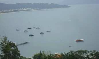 Imagem 6: TERRENO Á VENDA COM DUAS CASAS