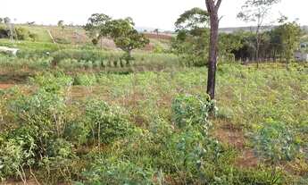 Imagem 5: Chácara em Ótima Localização