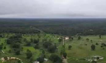 Imagem: Fazenda à Venda para Pecuária Pantanal