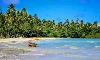 Imagem 3: Terreno à venda em Garapuá