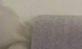 Imagem 4: Vende se Apartamento com 3 dormitórios