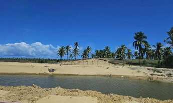 Imagem 6: Um verdadeiro paraíso com excelente preço - Lote Pé na Areia - Rainha dos lotes.