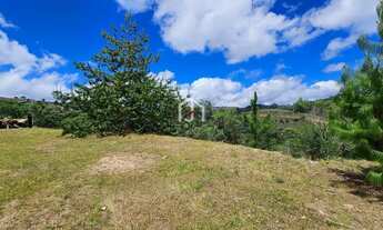 Imagem 4: Terreno com leve declive e área de 2.400 m² no bairro Descansópolis em Campos do Jordão
