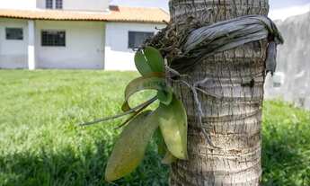 Imagem 7: Chácara a venda no tranquilo bairro Jardim Nova Rio Claro