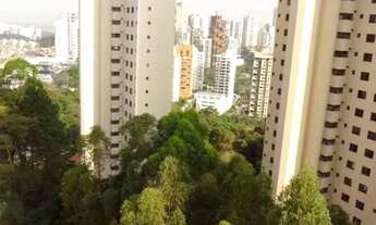 Imagem 2: APARTAMENTO - MORUMBI - SP