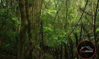 Imagem 3: Terreno à venda, 13000 m² por R$ 980.000 - Vila Moraes - Mogi das Cruzes/SP