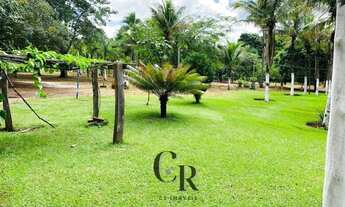 Imagem 7: Fazenda em Cristianópolis - 12 alqueires