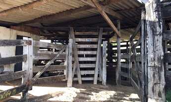 Imagem 7: Fazenda de 91 alqueires em Guapo-Go