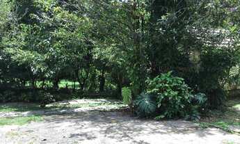 Imagem 4: Terreno para Venda em Teresópolis, Alto