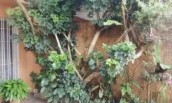 Imagem 5: CASA ASSOBRADADA - MIRANDÓPOLIS - SP