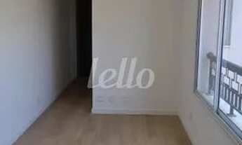 Imagem 2: Santo André - Apartamento Padrão - Campestre