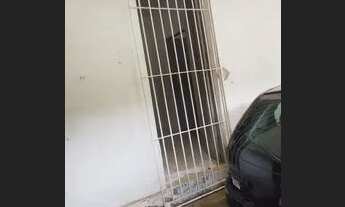 Imagem 4: Casa no Cordeiro Zap *72