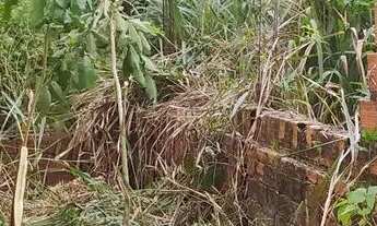 Imagem 1: Construção em mosqueiro