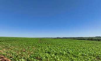 Imagem 5: 179. Excelente fazenda para lavoura em Dourados /MS
