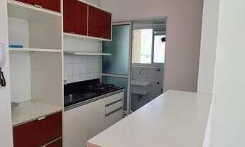 Imagem 3: Apartamento para aluguel possui 53 metros quadrados com 2 quartos em Vila Lageado - São Pa