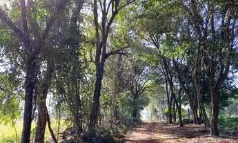 Imagem 2: Chacaras de 5000 m