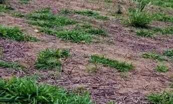 Imagem 8: 03a-1E2MDU0 Terreno / lote com venda por R$90.000