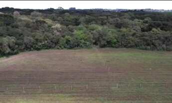 Imagem 6: Área para Venda em São José dos Pinhais, Roseira de São Sebastião