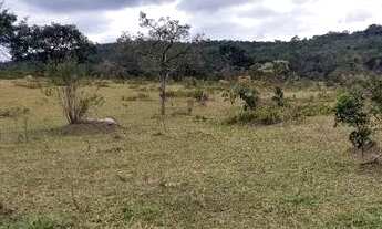 Imagem 2: Terreno 100.000m2 (10 hectares), topografia muito boa, local sossegado