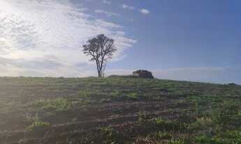 Imagem 4: Não perca essa oportunidade !