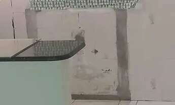 Imagem: Apartamento no bairro estrela