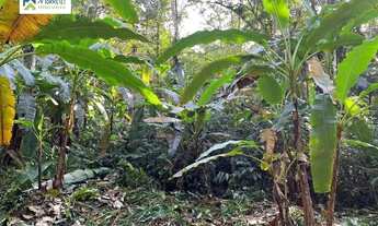 Imagem 4: Área à venda no bairro Rio Sagrado - Morretes/PR