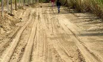 Imagem 4: Sítio em Cassias dos Coqueiros-SP