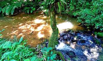 Imagem 15: Terreno à venda, 10000 m² por R$ 155.000,00 - Rio Sagrado - Morretes/PR