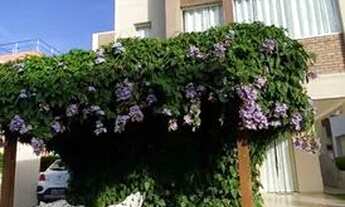 Imagem: Condomínio Fragatta