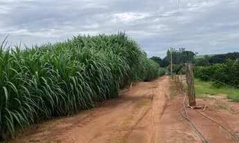 Imagem 3: Oportunidade unica sitinho em Ibira lindinho completo 2.5 alqueires 998 mil