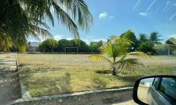 Imagem 4: Chácara Chácara com venda por R$350.000