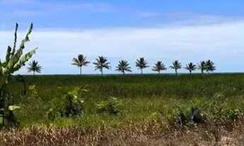 Imagem 2: Chácara Pé na areia - Praia dos Corais ALCOBAÇA - BA