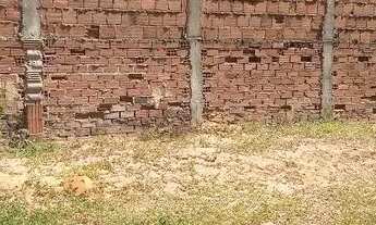 Imagem 4: Alugo casa Casa com 2 dormitórios