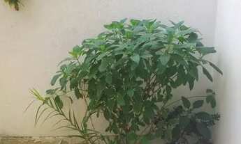 Imagem 3: Casa de vila em Camboinhas com 3 quartos suites