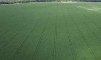 Imagem 6: Fazenda em Lavoura Porto dos Gaúchos MT