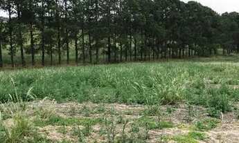 Imagem 3: Mega promoção!! terrenos planos !!