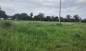 Imagem 6: Linda fazendinha de 211 Hectares..