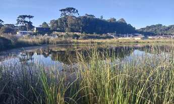Imagem 3: Vendo terreno medindo 480 metros 12/40 de frente pra rua