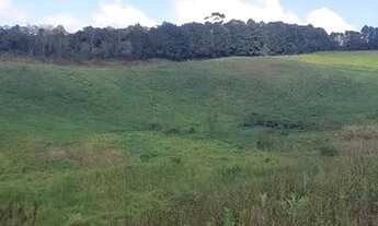 Imagem 3: Lote/Terreno para venda possui 500 metros quadrados em Centro - Cotia - SP