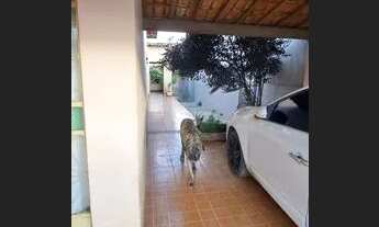 Imagem 4: Excelente casa a venda