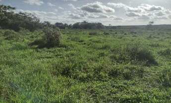 Imagem 6: Sitio em inhambupe 7 tarefa escriturado!