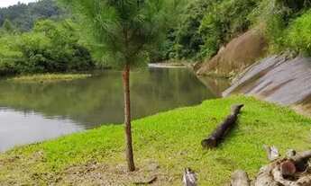 Imagem 7: Linda Chacrinha em Riozinho/Rolante
