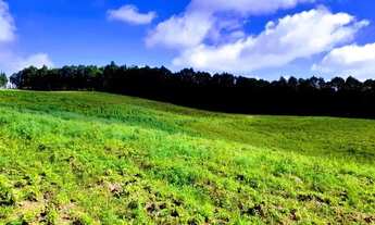 Imagem 5: Lote/Terreno para venda tem 500 metros quadrados em Cachoeira - Cotia - SP